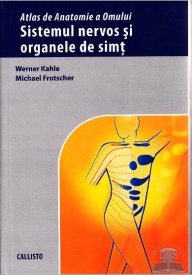 sistemul nervos